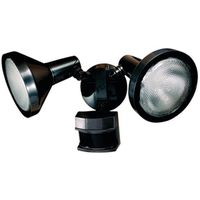 LT MTN Detect DL Brite 24