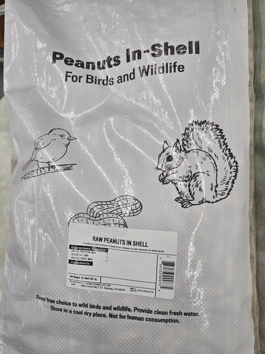 Raw Peanuts In Shell - 2 Pound Bag - Great For Boiling, Squirrels, Birds, Or Snacks