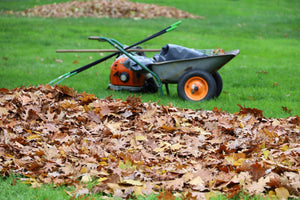 Fall Lawn& Garden Prep: 7 Smart Steps Before the Frost Arrives