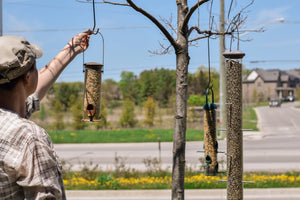 Spring Cleaning: Get Your Bird Feeders, Hummingbird Feeders, and Birdhouses Ready for Feathered Guests