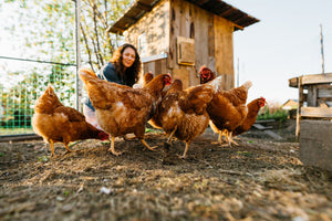 Why Fresh Feed Matters (and How to Store It the Right Way)
