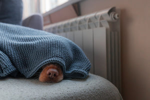 Get Ready for Winter: Heating & Cooling Tips to Keep Your Home Cozy