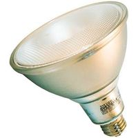 BULB LED ULTRA 120W PAR38