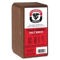 4LB Trace Mineral Brick