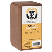 Roto Salt Champion's Choice Iodized Salt Block, 4 lb