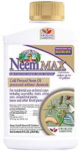 Cold Pressed Neem Oil 4 oz