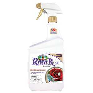 Care Rose RX 4-in-1 Ready-to-Use 1 Quart