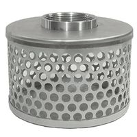 Strainer with 2 Round Holes