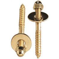 Plumb Pak Brass Screw Set, 1/4-20 x 2-1/2 in (PP835-15)