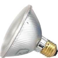 Spotlight Halgen PAR30 ME