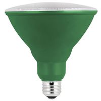 Feit Electric PAR38/G/10KLED/BX LED Bulb, PAR38 Lamp, E26 Base, Green Light