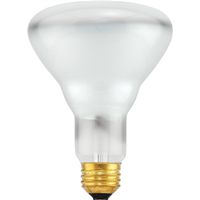Bulb Reflector Floodlight for BR3