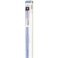 Sylvania 23121 Fluorescent Bulb, 30 W, T8 Lamp, Medium Lamp Base, 1897 Lumens, 4200 K Color Temp, Cool White