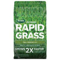 Seed Grass Tall Fescue