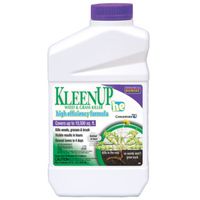 Bonide KleenUp HE 753 Weeds and Grass Killer, Liquid, 1 qt