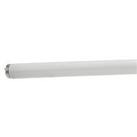 Sylvania 24671 Fluorescent Bulb, 40 W, T12 Lamp, Medium Lamp Base, 1700 Lumens, 3400 K Color Temp, Neutral White Light