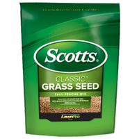 Seed Grass Tall Fescue Mix