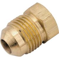 Anderson Metals 3/8" Flare Pipe Plug (754039-06)