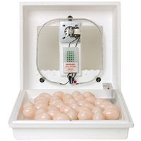 Little Giant 10300 Egg Incubator, 41 Large Chicken Eggs, 99.5°F, Styrofoam Circulated