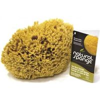 Armaly ProPlus 68000-4 Wool Sponge, 6 in W, 7" Natural Sea Wool Sponge