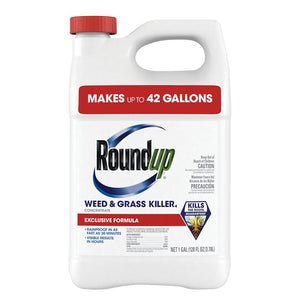 Roundup 5376804 Concentrated Weed and Grass Killer, Liquid, 1 Gallon Bottle