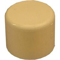 0385610119131 CPVC Cap Fitting