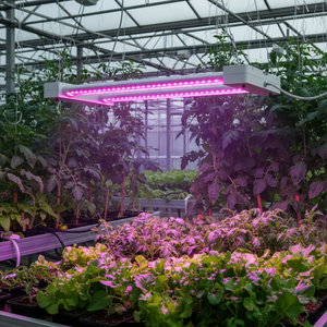 Feit Electric /19W/LED Grow Light 2-Lamp 1200 Lumens 3300K Color Temp (glp24fs)