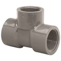 Lasco 805005BC PVC Pipe Tee, 1/2 in FIP, Schedule 80