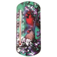 Taylor Thermometer, Dimensions 1/2 x 4 x 8 in, -40 to 120°F (Model 5204)