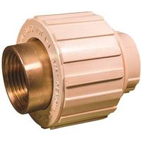 Nibco M25305L Transition Pipe Union, 3/4 in, Slip x FIP, Brass/CPVC