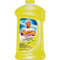 40oz MrClean AP Citrus