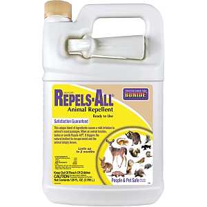 Repels-All Ready-to-Use Gallon