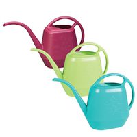 Bright 56 oz Water Can, 12 Pack