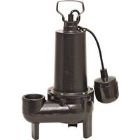 SEWAGE PUMP CAST IRON 1/2