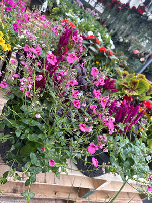 9" Planter