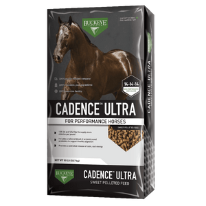 Buckeye Cadence Horse Feed (50 lbs)