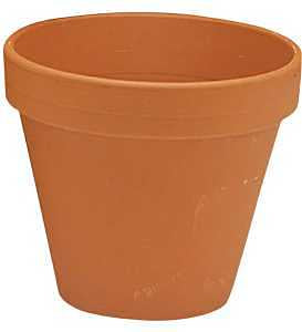 6-Inch Terra Cotta Pot