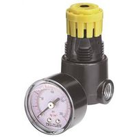 Mini Regulator and Gauge