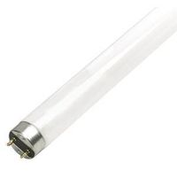 Sylvania 21781 Fluorescent Bulb, 32 W, T8 Lamp, Medium G13 Lamp Base, 2975, 4100 K Color Temp, Cool White