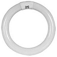 Feit Electric FC12T9/CW Fluorescent Bulb, 32W, T9 Lamp, G10Q Base, 2100 Lumens, 4100K Color Temp