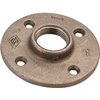 1" Black Floor Flange