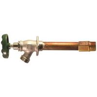10" BRS Wall Hydrant