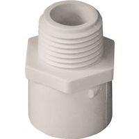 IPEX 1/2" PVC Schedule 40 Pipe Adapter, Socket x MPT (435602)