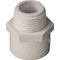 IPEX 3/4" PVC Pipe Adapter, Socket x MPT, Schedule 40 (435603)
