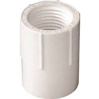 IPEX 1/2" PVC Pipe Adapter, Socket x FPT, Schedule 40 (435559)