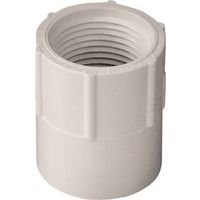 IPEX 3/4" PVC Pipe Adapter, Socket x FPT, Schedule 40 (435560)