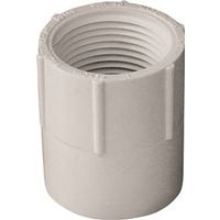 IPEX 1" PVC Schedule 40 Pipe Adapter, Socket x FPT (435561)
