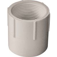 IPEX 1-1/4" PVC Pipe Adapter, Socket x FPT, White, SCH 40, 150 PSI
