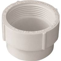 Canplas 193704S Cleanout Adapter, 4 in, Spigot x FNPT, PVC, White