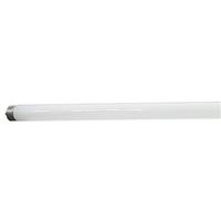 Sylvania 22149 Fluorescent Bulb, 59 W, T8 Lamp, Single Pin Lamp Base, 5428 Lumens, 4100 K Color Temp, Cool White